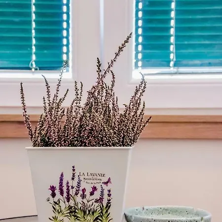 Lägenhet Kalemary's