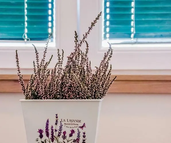 Apartmán Kalemary's